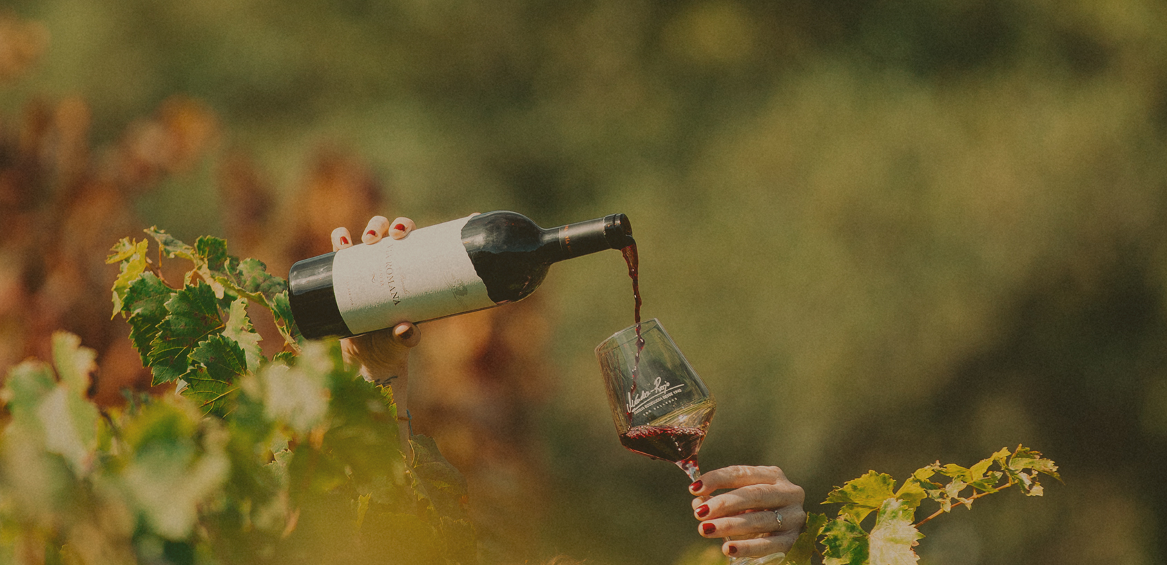 Descubre Ribeira Sacra