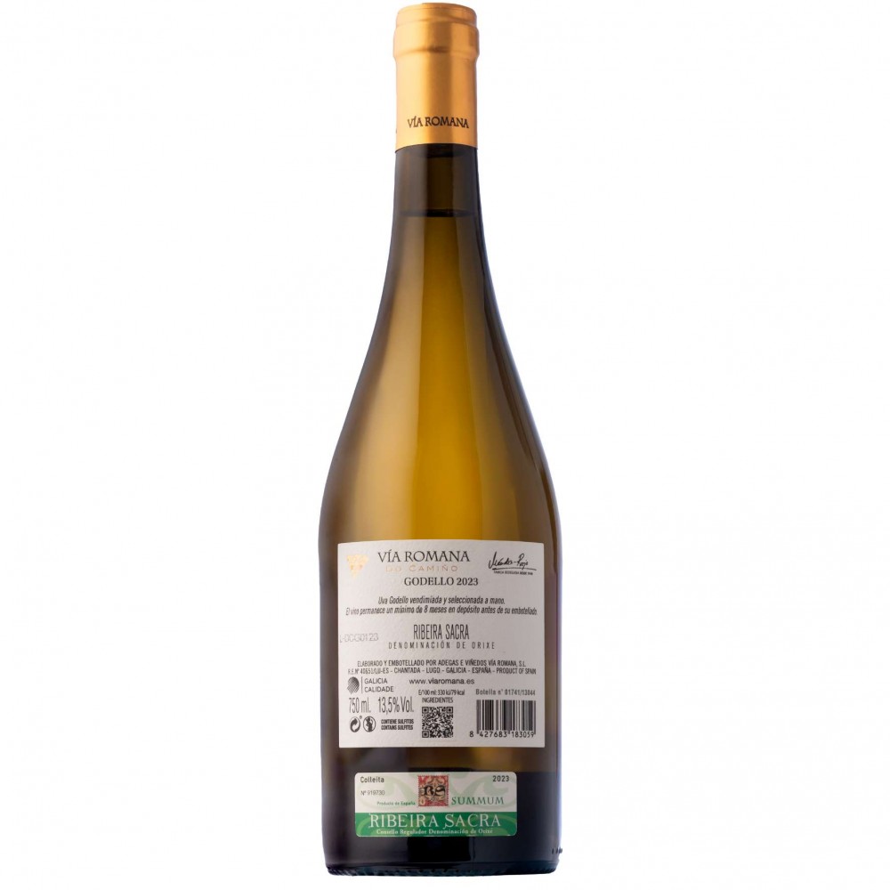 V&iacute;a Romana Do Cami&ntilde;o Godello — imagen 3 de 3