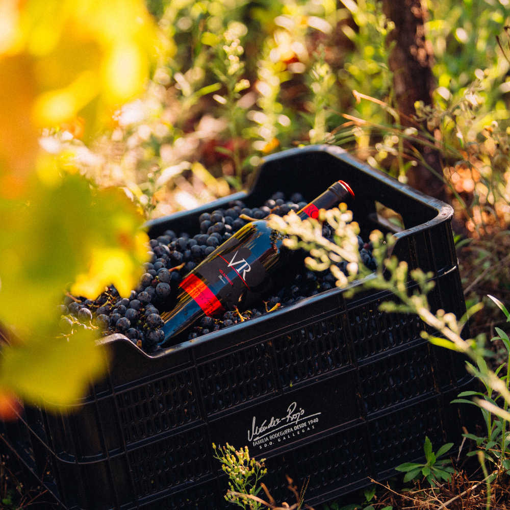 VR Barrica — imagen 3 de 4